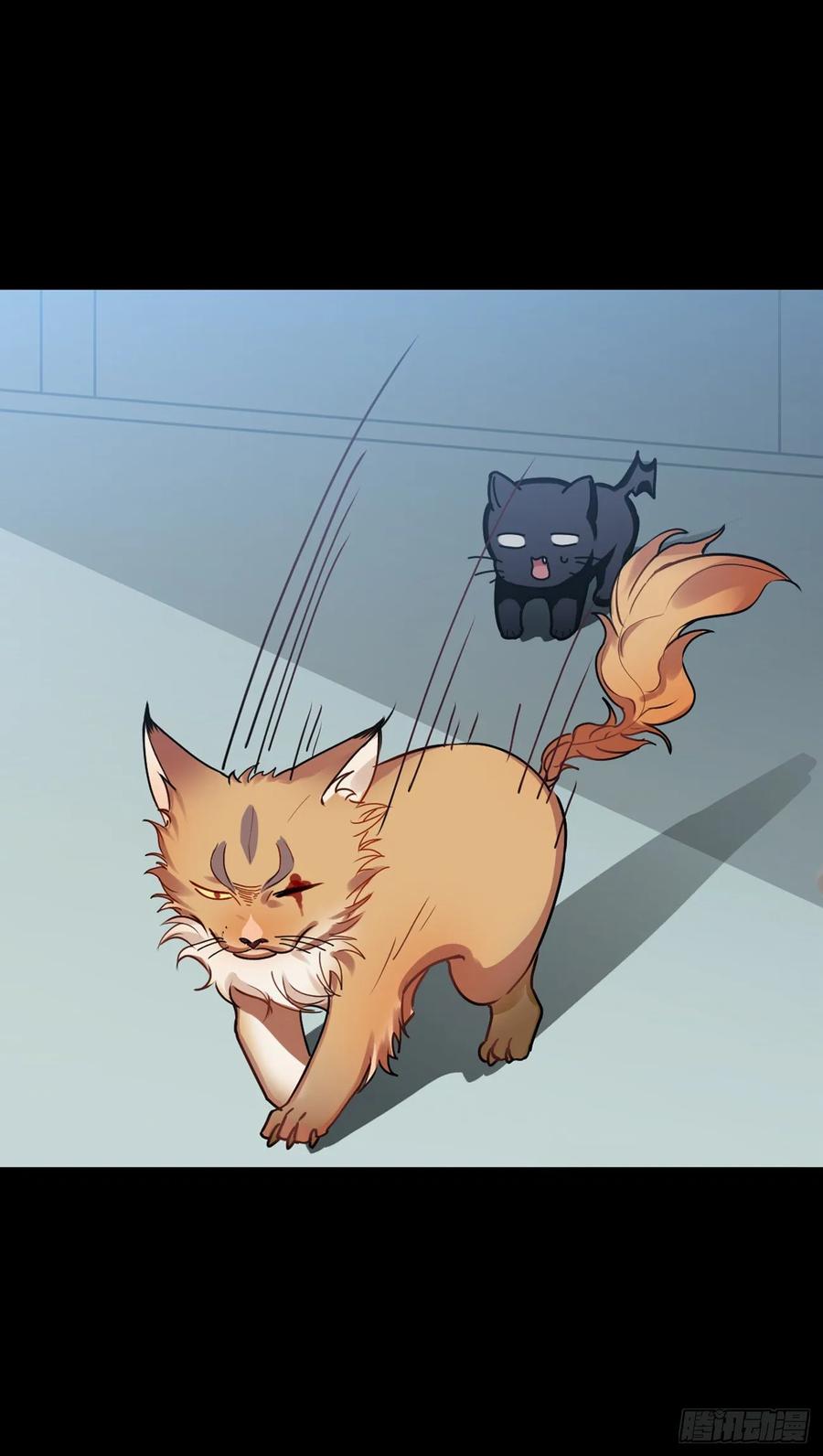 大师失踪的原因（二）-第71话