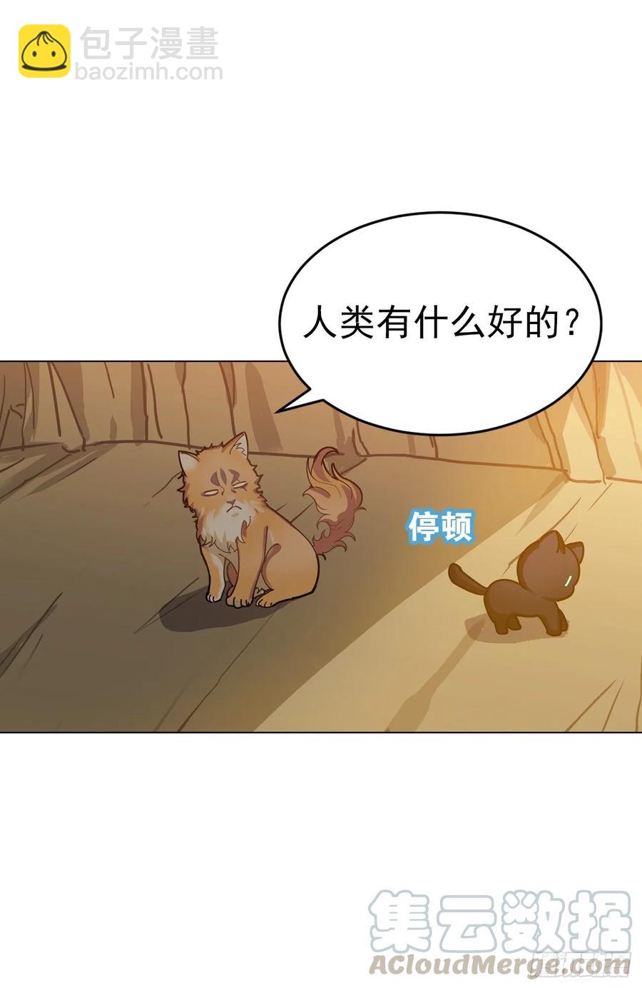 大师失踪的原因（二）-第71话