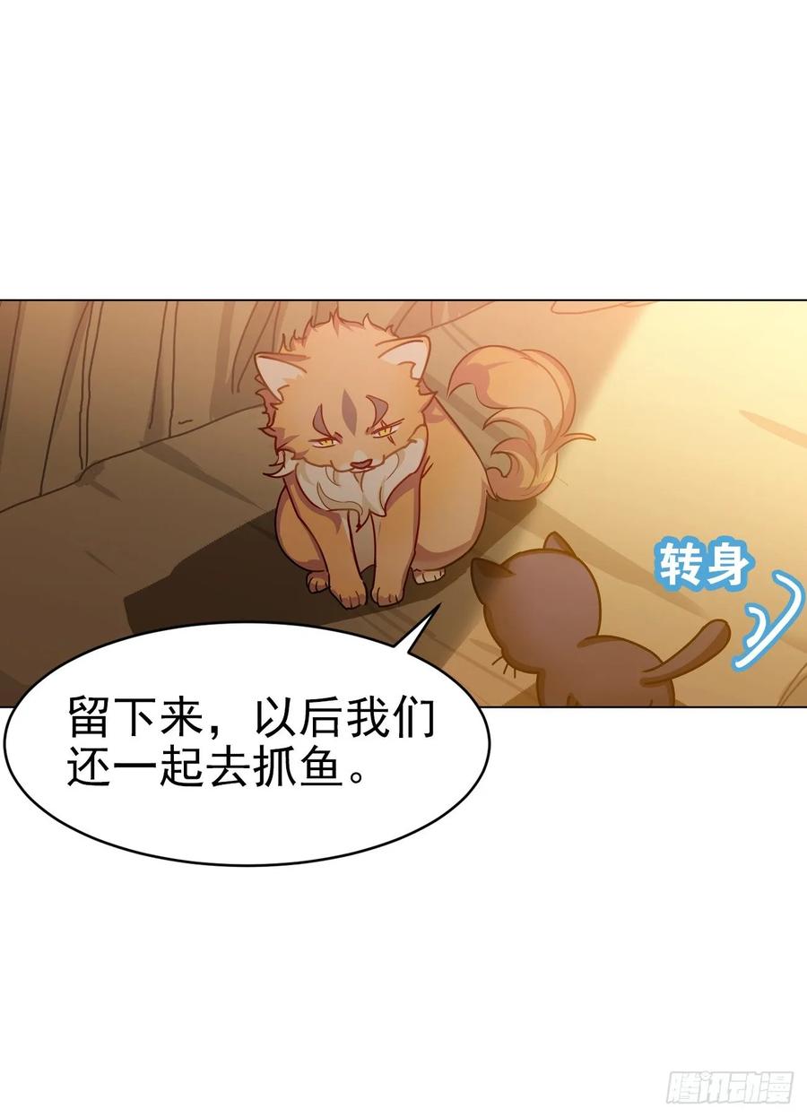 大师失踪的原因（二）-第71话