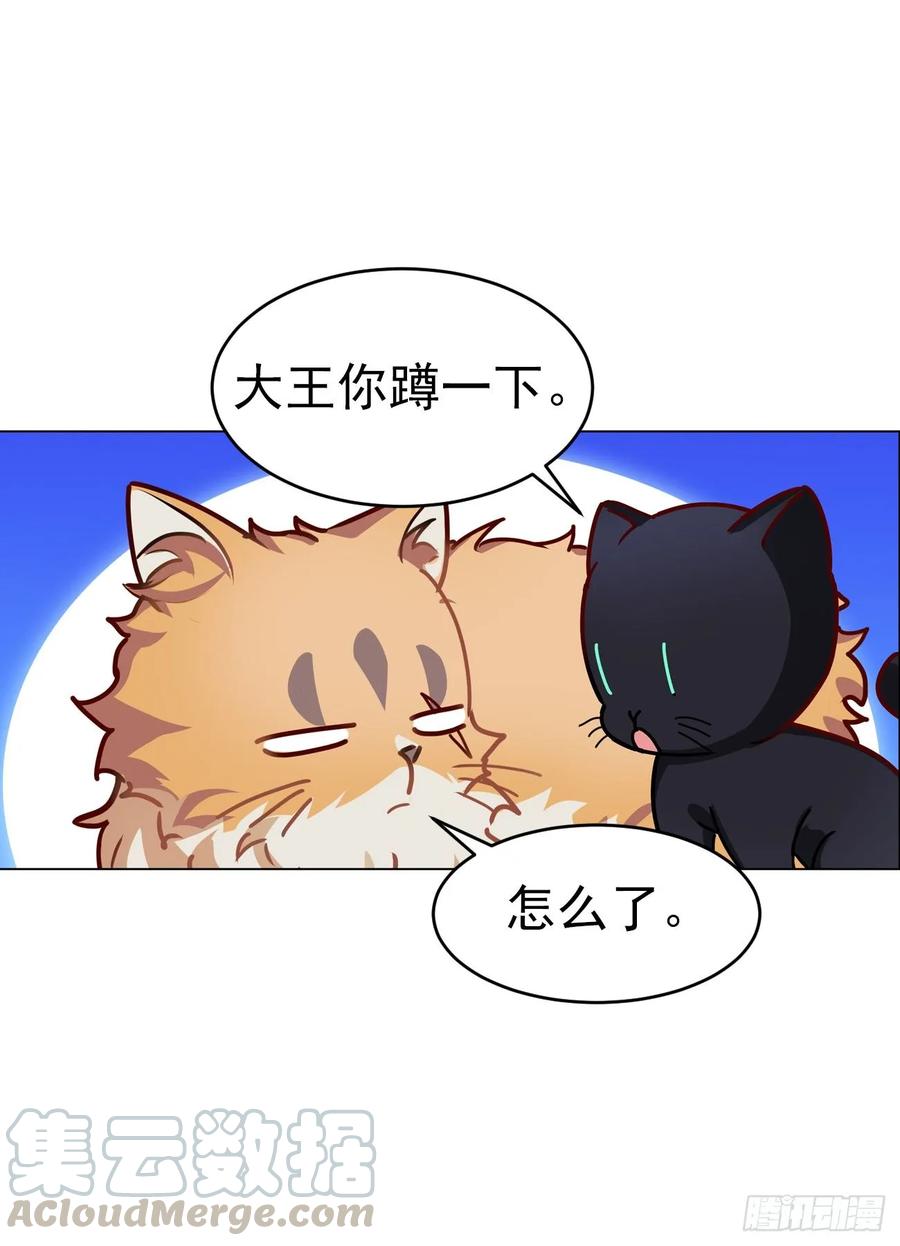 大师失踪的原因（二）-第71话