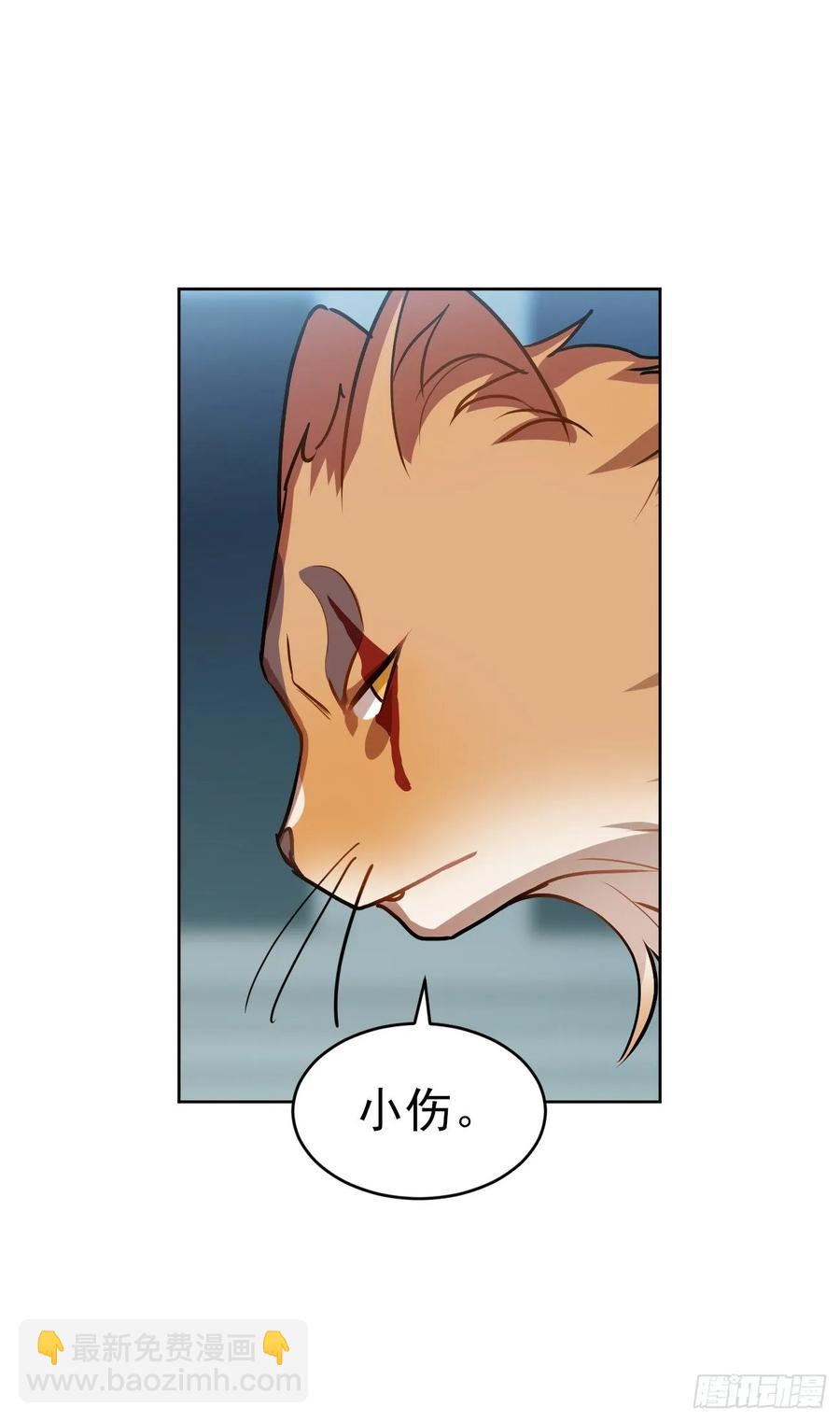 大师失踪的原因（二）-第71话