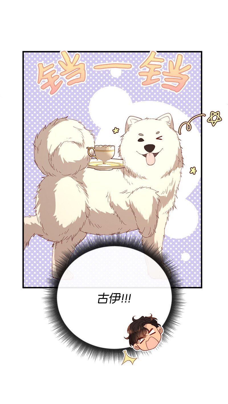 32 华丽变身(1/2)-第33话
