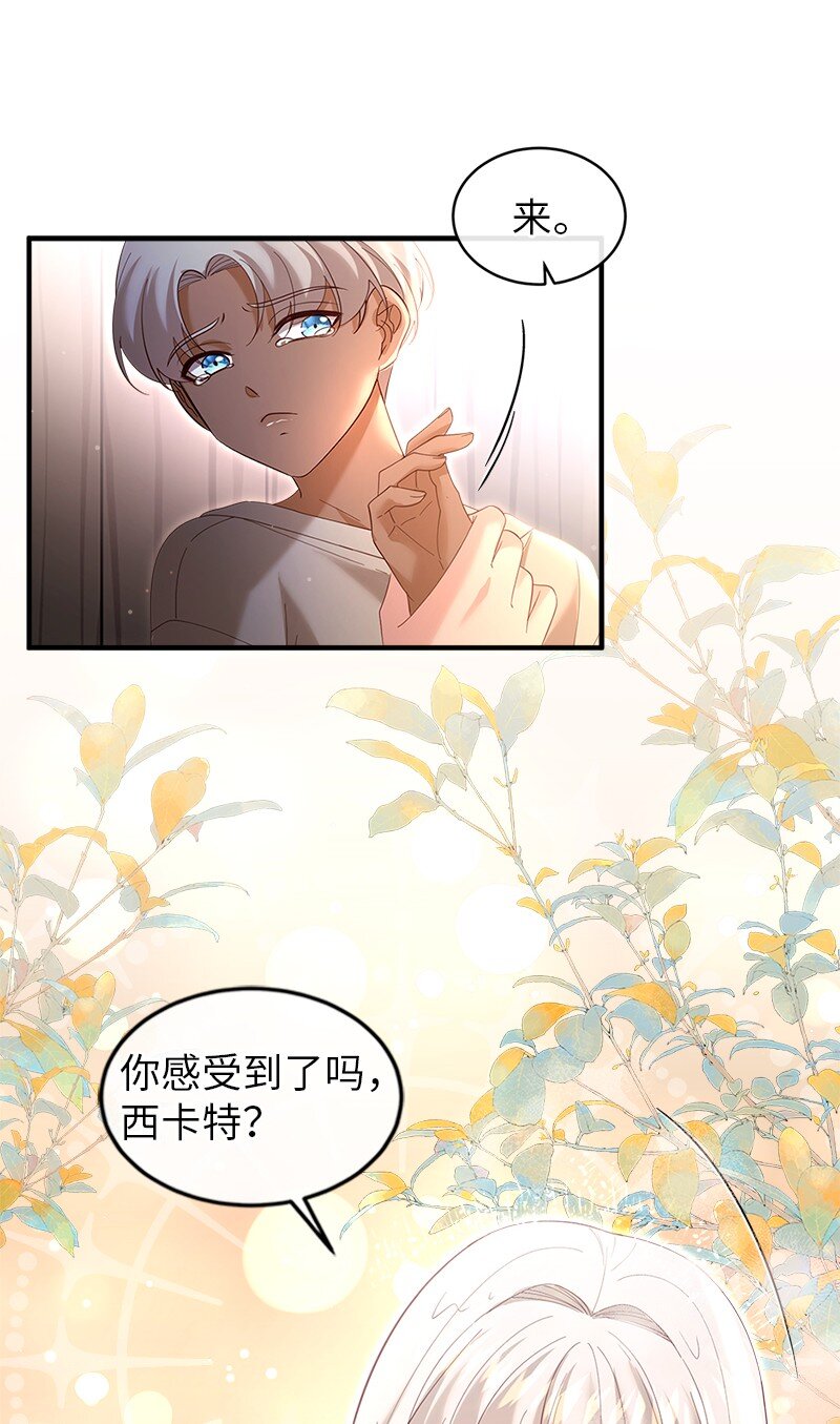 74 儿时回忆(1/2)-第75话