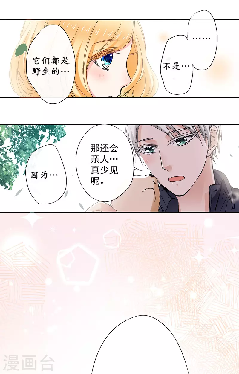 第56话 你想要什么样的家？-第59话