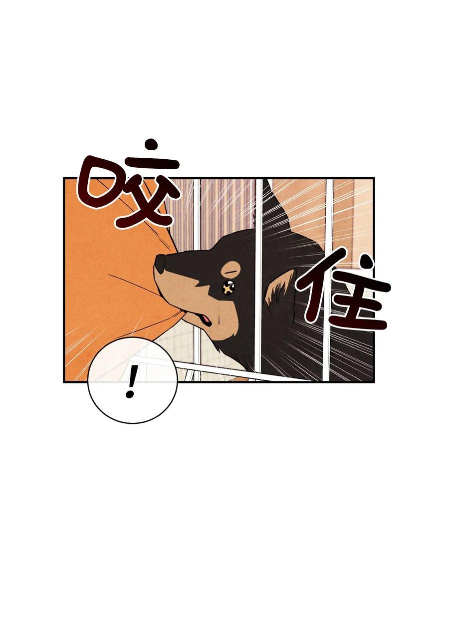 🍔恋爱1+1 09 它想吃掉我 第14页