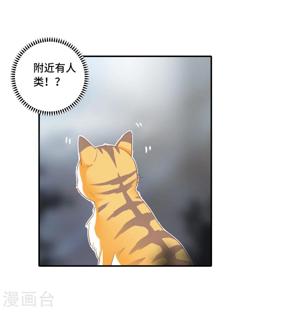 🍔恋爱超速 第1话 做人真难啊！ 第13页