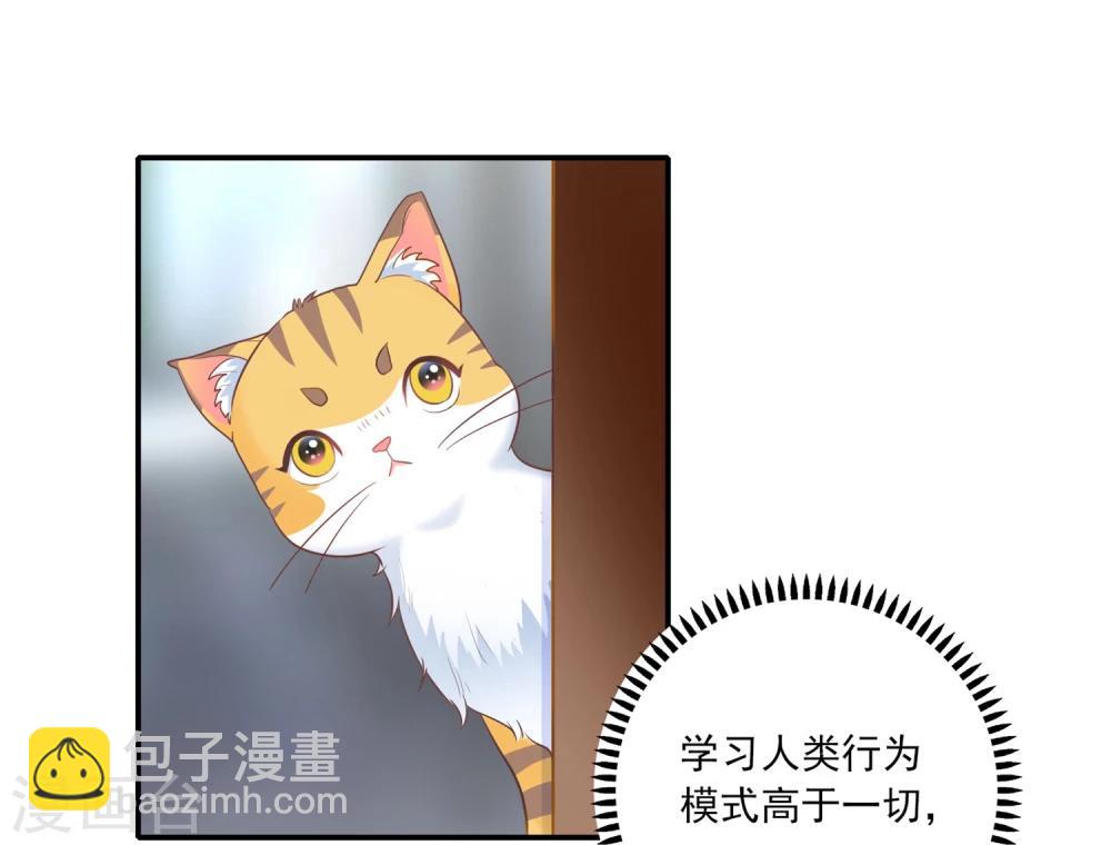 🍔恋爱超速 第1话 做人真难啊！ 第16页