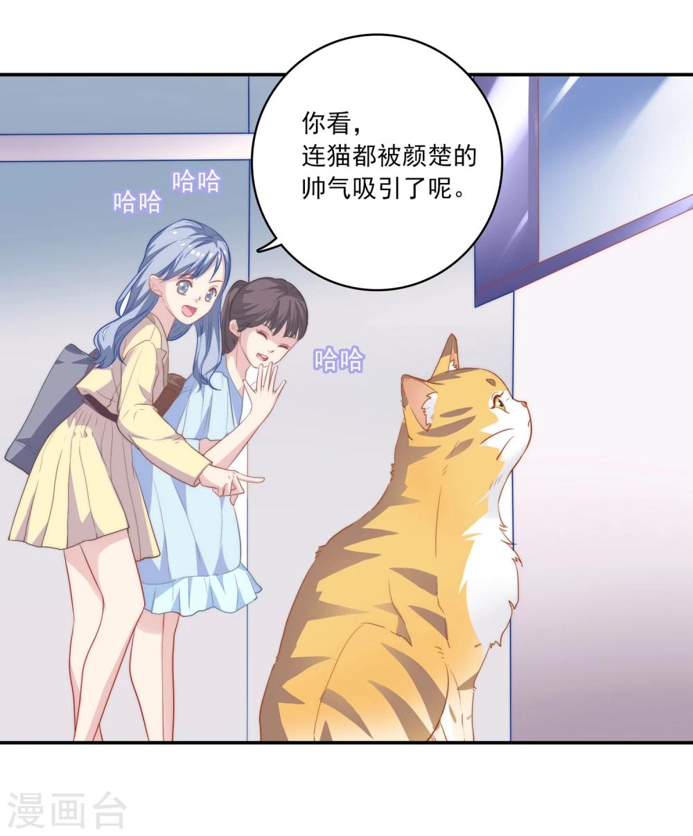 🍔恋爱超速 第1话 做人真难啊！ 第22页