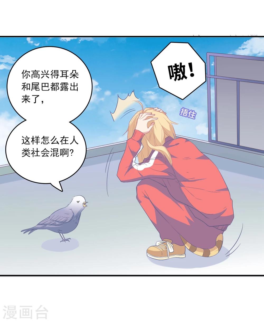 🍔恋爱超速 第1话 做人真难啊！ 第37页