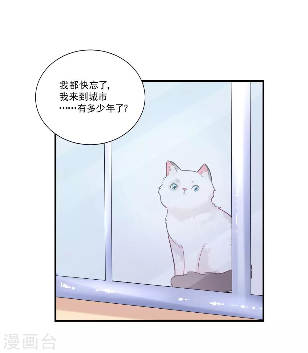 🍔恋爱超速 第48话 四角恋 第12页