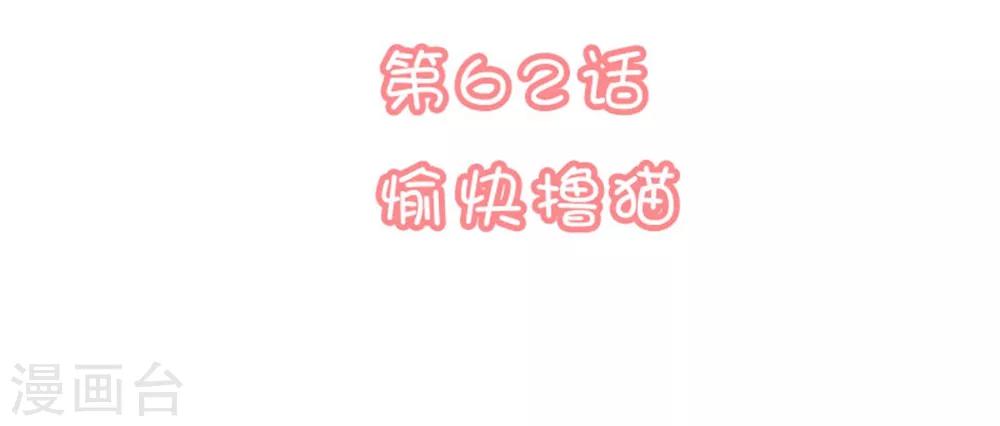 🍔恋爱超速 第62话 愉快撸猫 第2页
