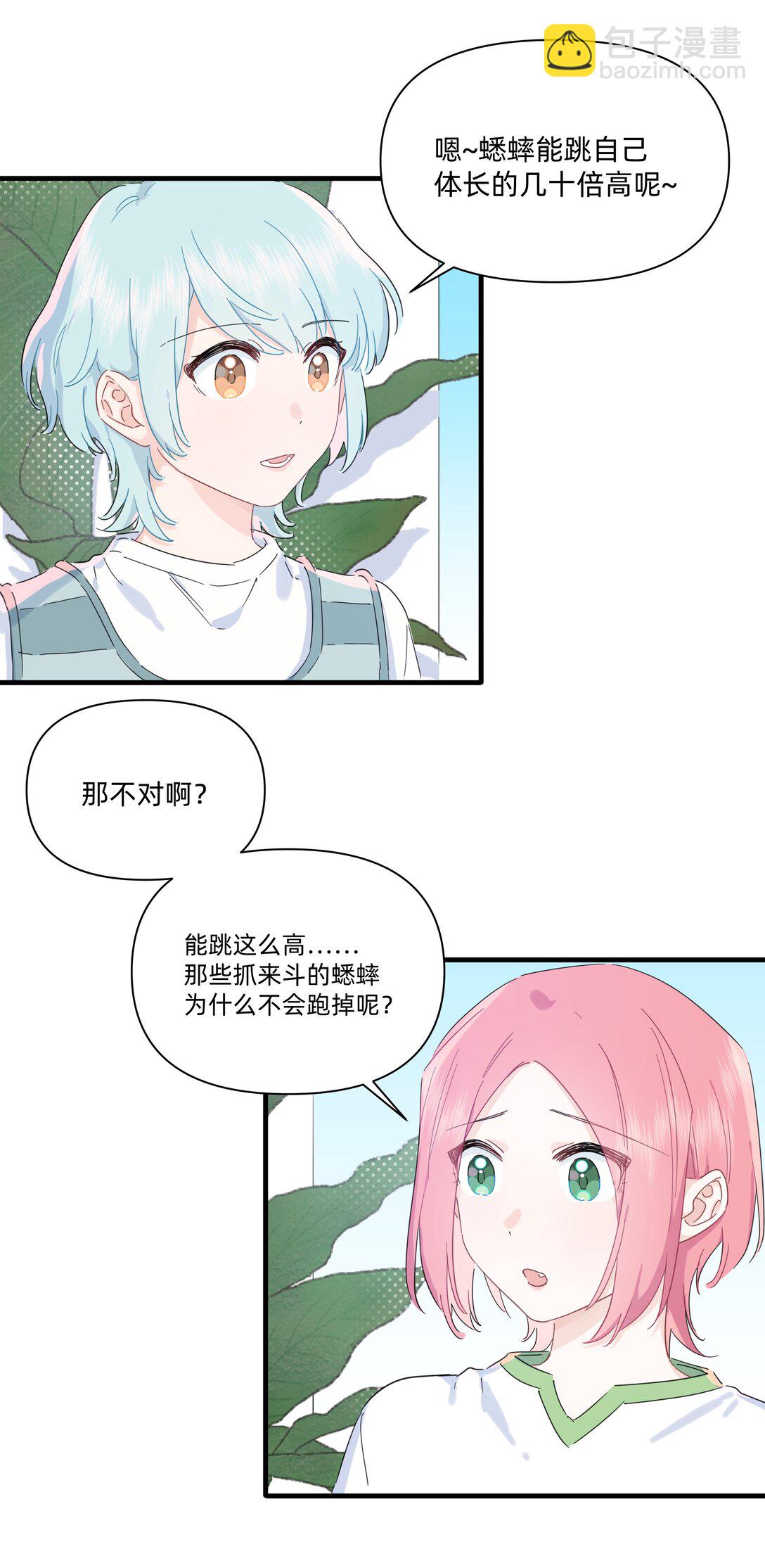 039 罐中促织，笼中雀-第41话