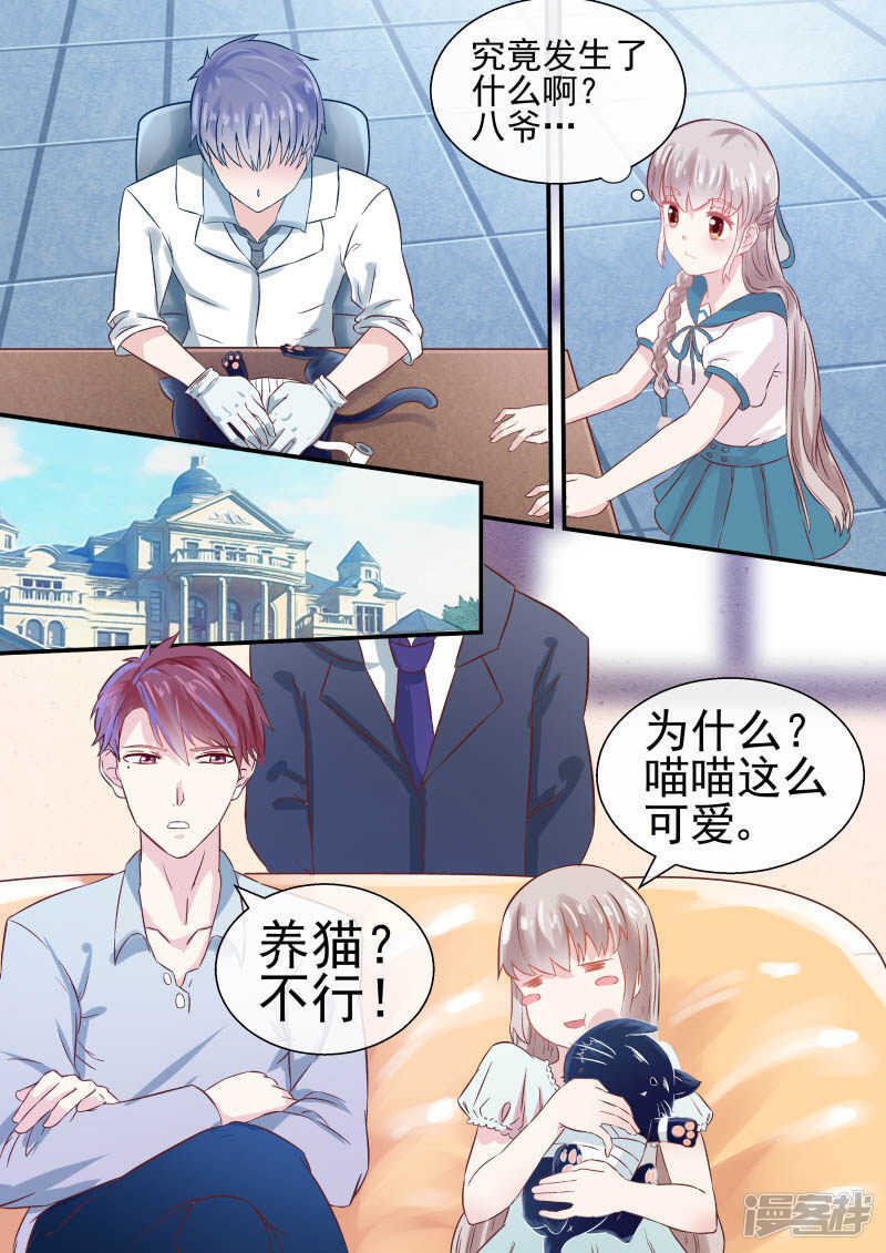 第47话 宠物不能超过俩-第49话