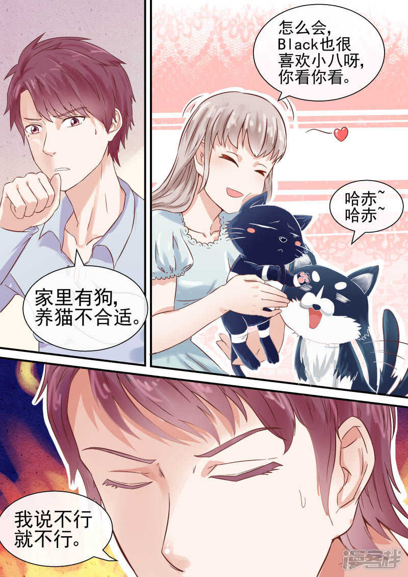 第47话 宠物不能超过俩-第49话