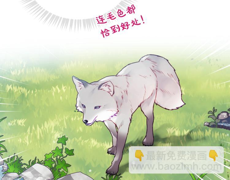 🍔恋爱手游的男主都很危险 第67话 破游戏，想弃号！ 第41页