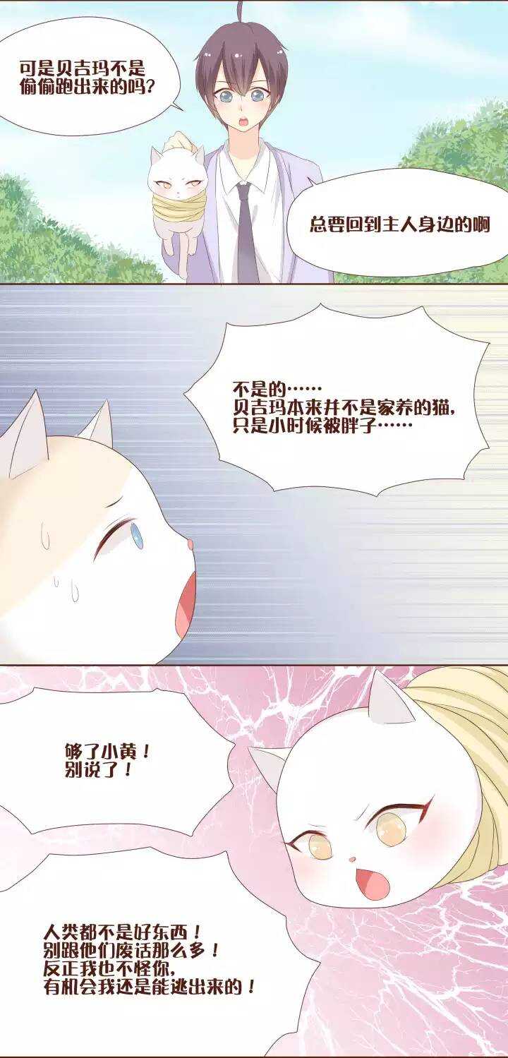 24 可怜的贝吉玛，我们该怎么办呢-第25话