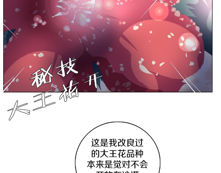 第32话 淇淇的决意(1/2)-第33话