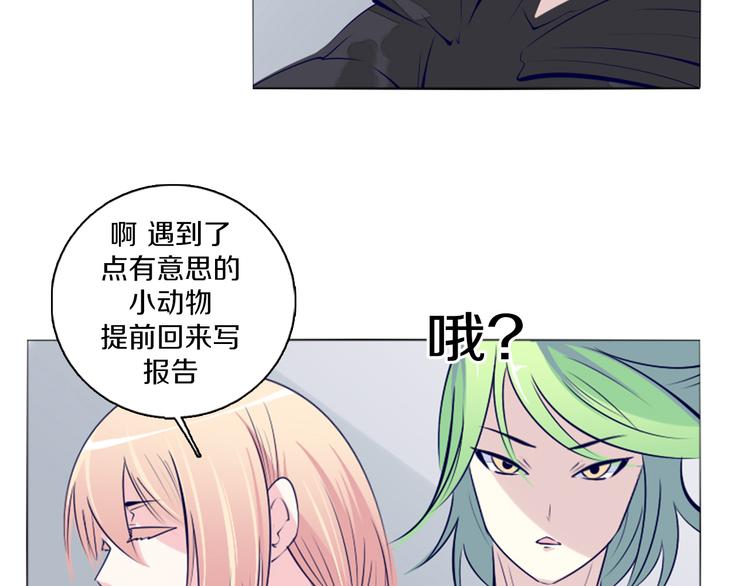第40话 妮尔离去-第41话