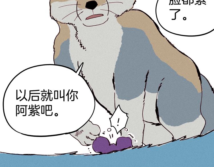 第14话 小马哥登场(1/3)-第15话