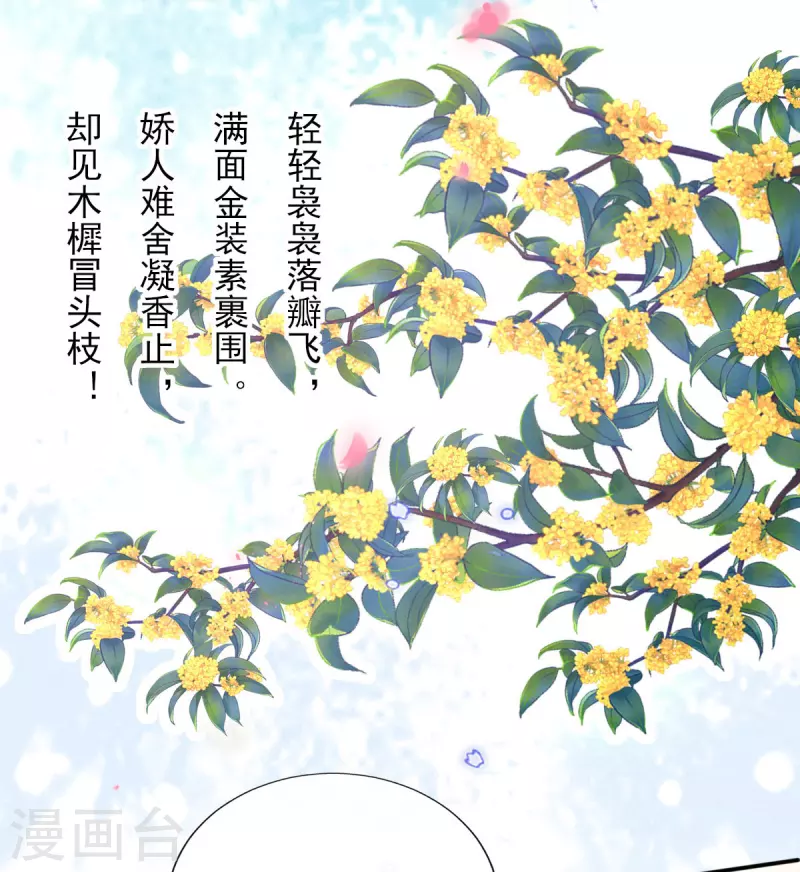 第75话 当众挑衅-第81话