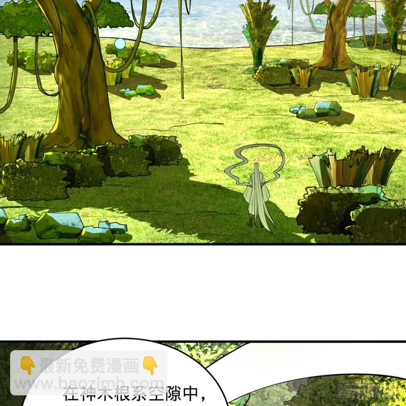 🍔炼气练了三千年 148回 神木之下 第5页