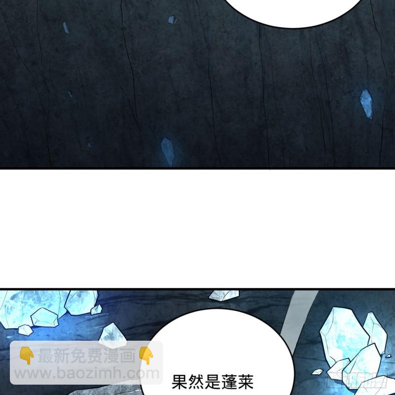 🍔炼气练了三千年 152回 一成的真元 第13页