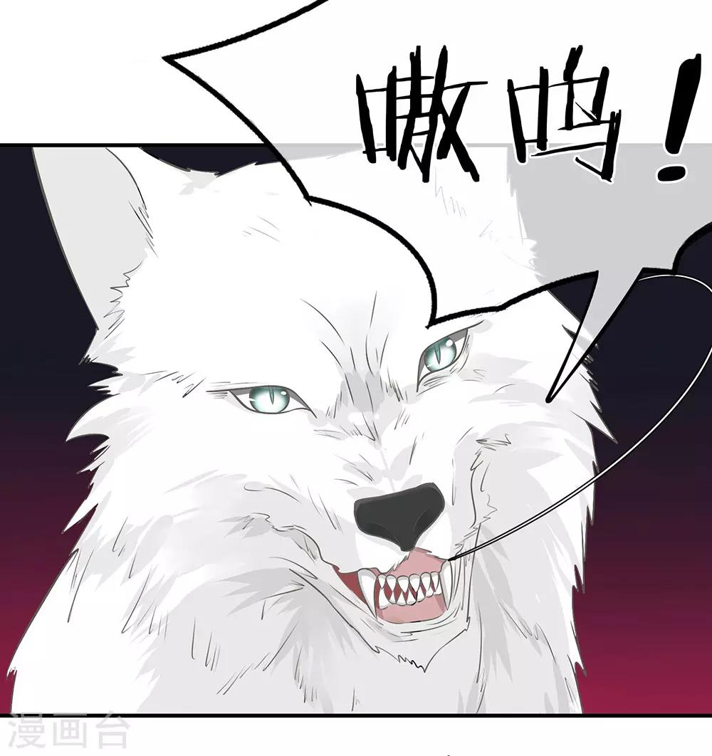 第5话-第5话