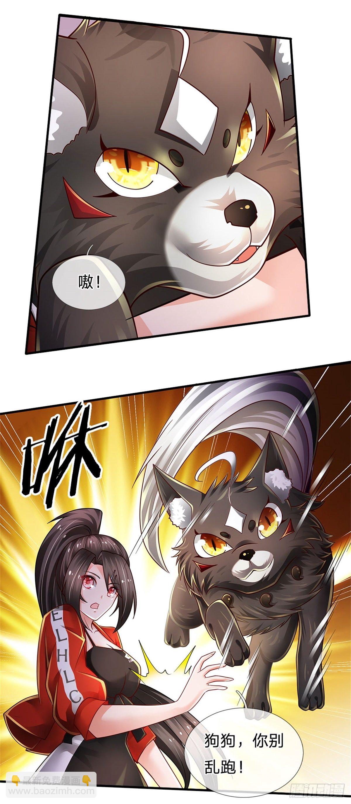 第108话 竟敢招惹爷，找死！-第109话