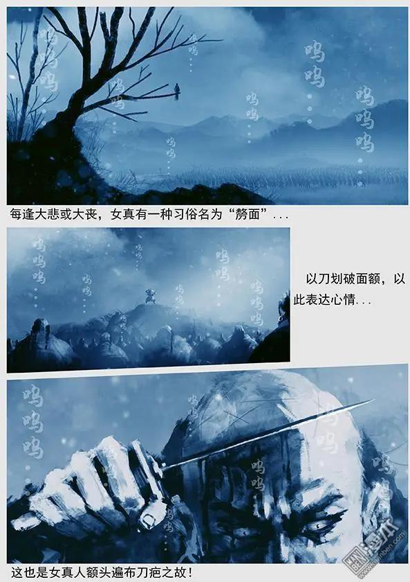 🍔辽金之战 第34回 第三十二景 倾国之兵 第12页