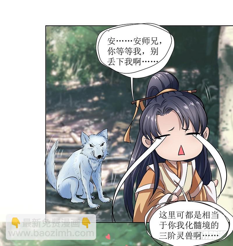 🍔撩撩人身修仙传 灵兽 第12页