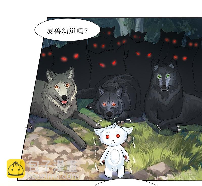 🍔撩撩人身修仙传 灵兽 第17页