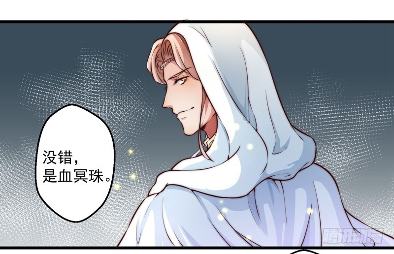 🍔撩撩人身修仙传 总有反派手下想复活boss 第15页