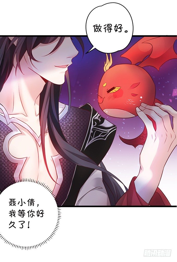 穿越时空追寻真爱！(1/3)-第1话