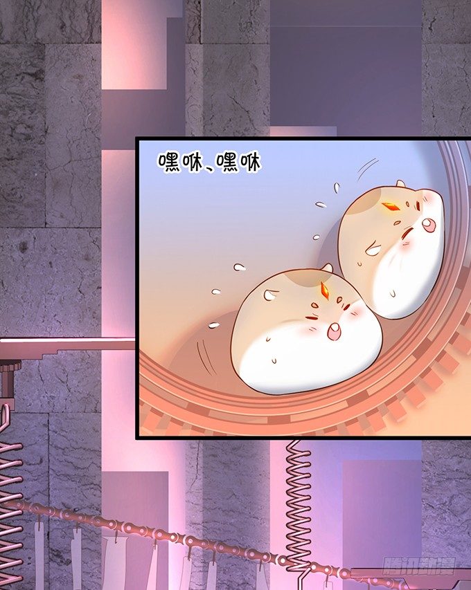 倾尽我所有！护你周全！(1/2)-第5话