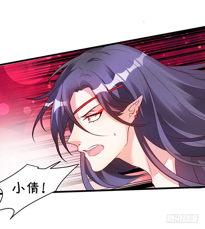 倾尽我所有！护你周全！(1/2)-第5话