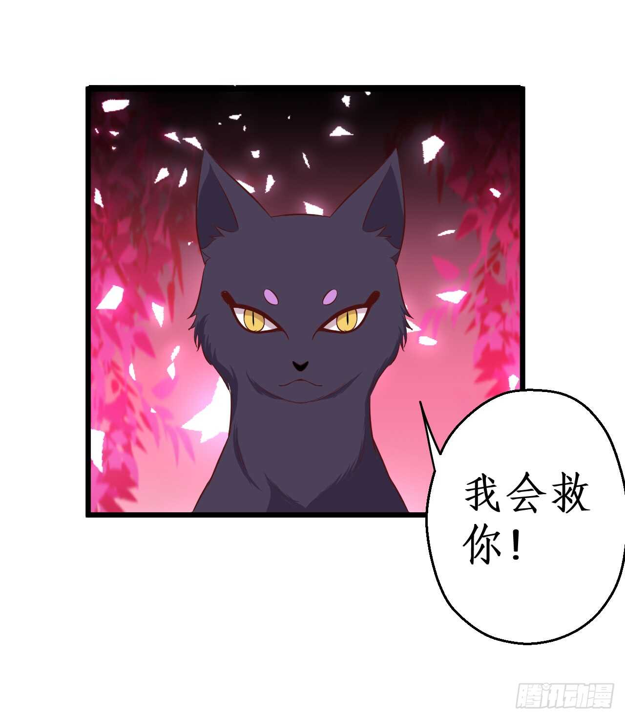 小猫咪！需要我帮忙吗！-第79话