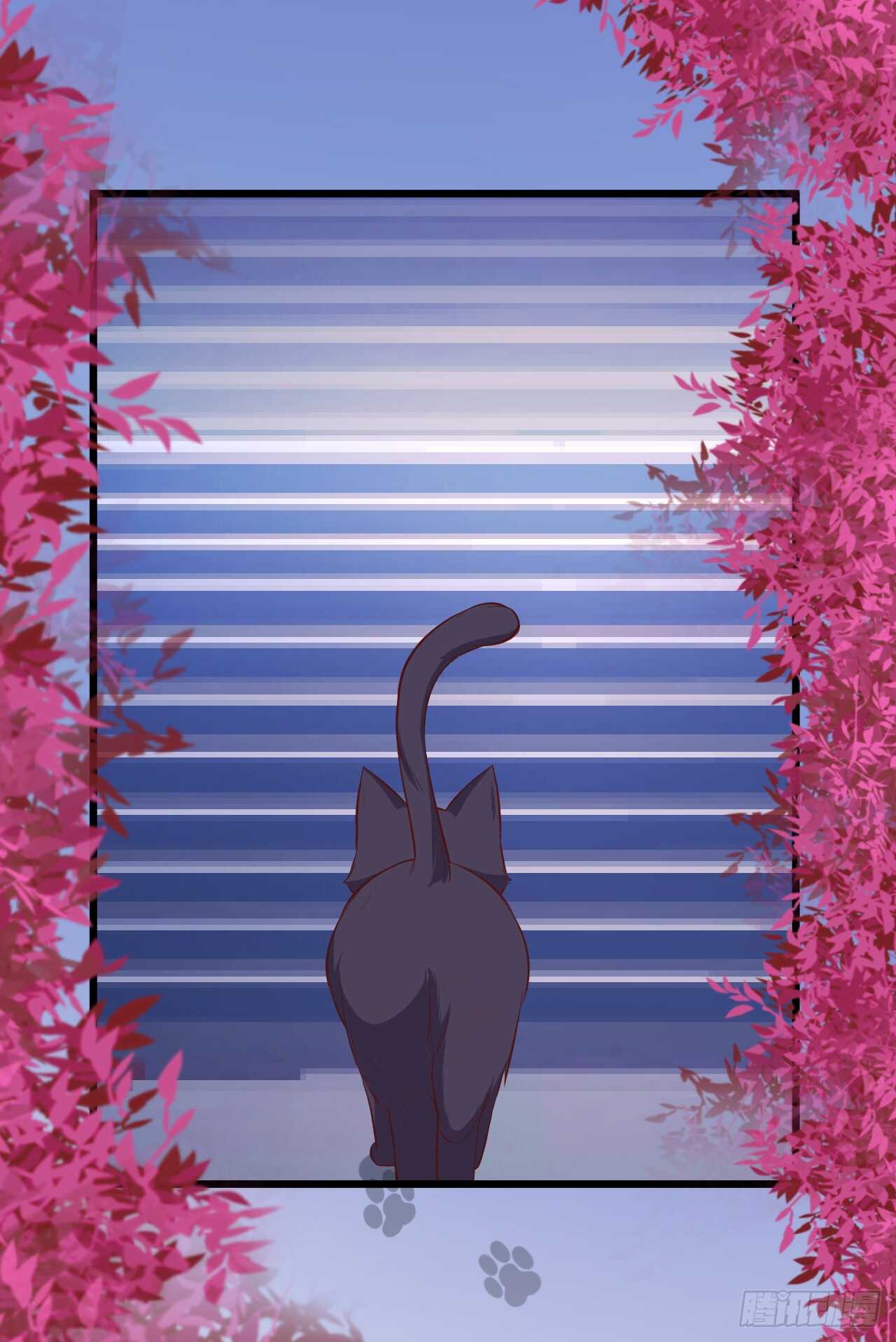小猫咪！需要我帮忙吗！-第79话