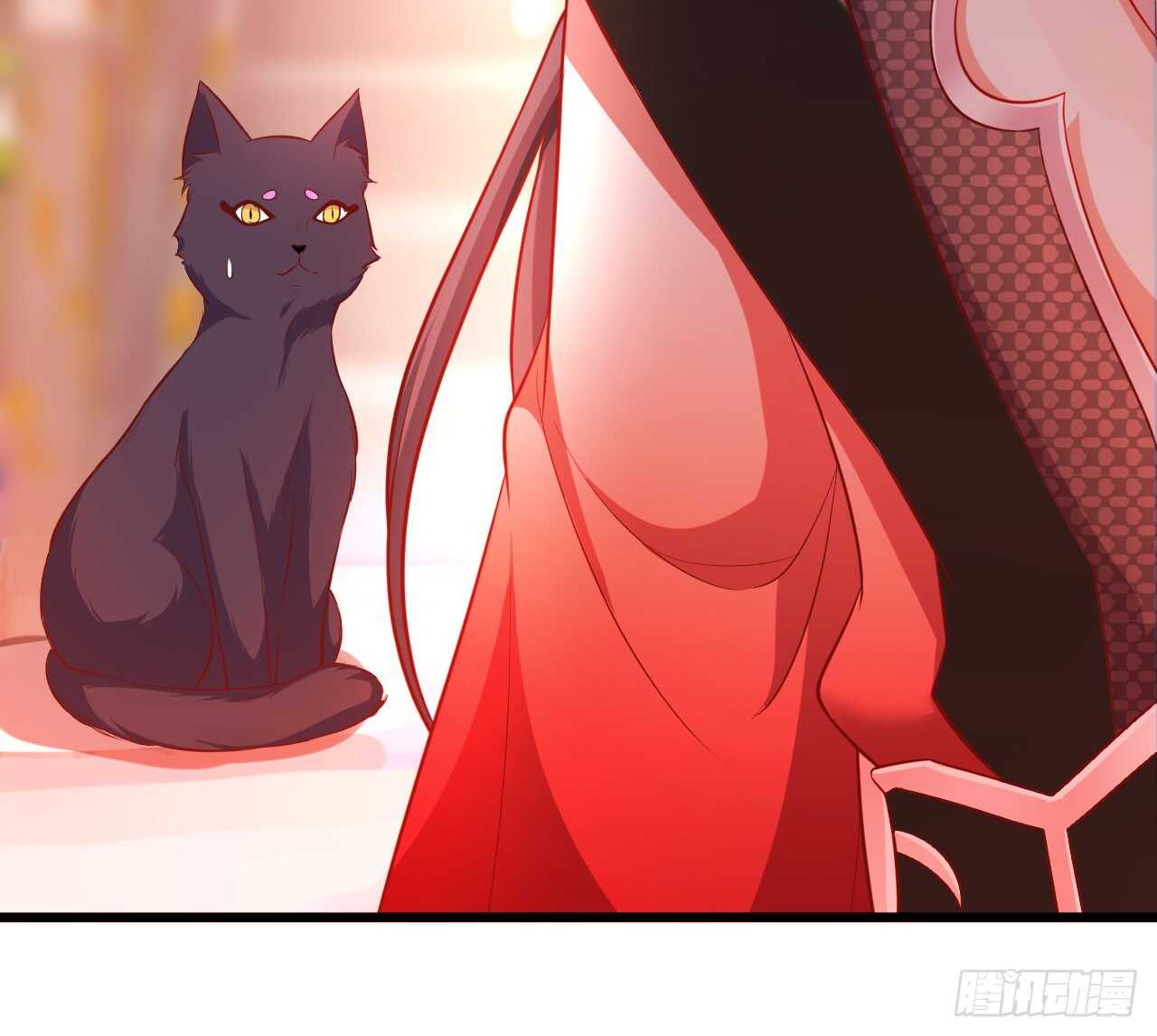小猫咪！需要我帮忙吗！-第79话