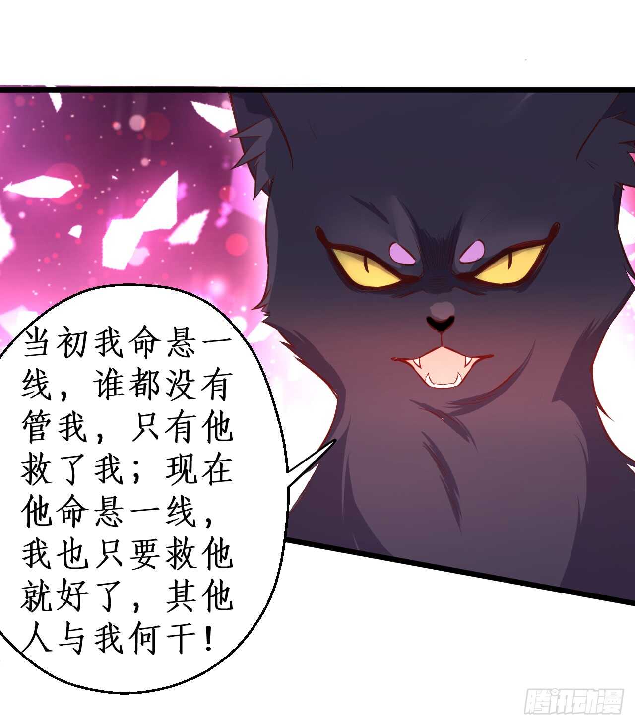 吸取精气！小猫咪变身！(1/2)-第81话