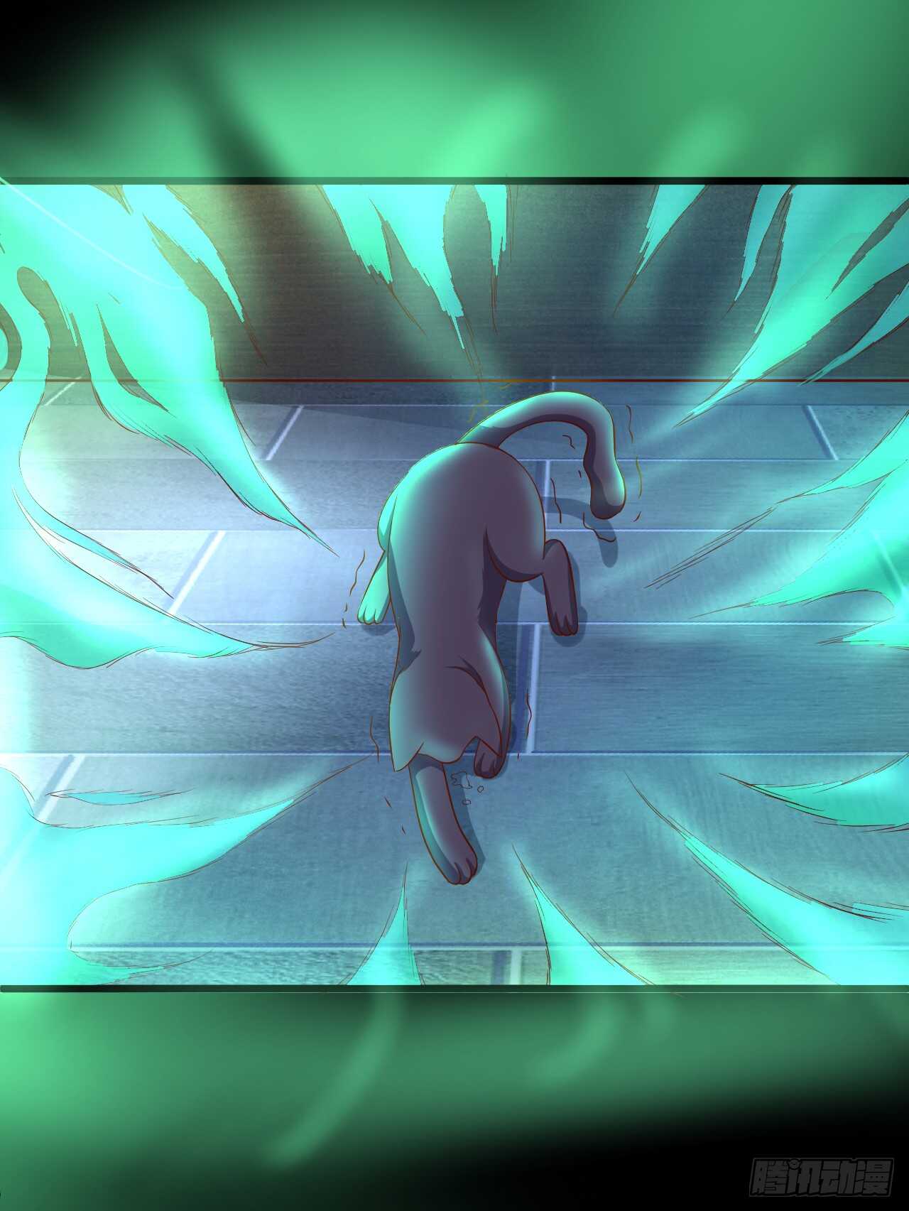 吸取精气！小猫咪变身！(1/2)-第81话