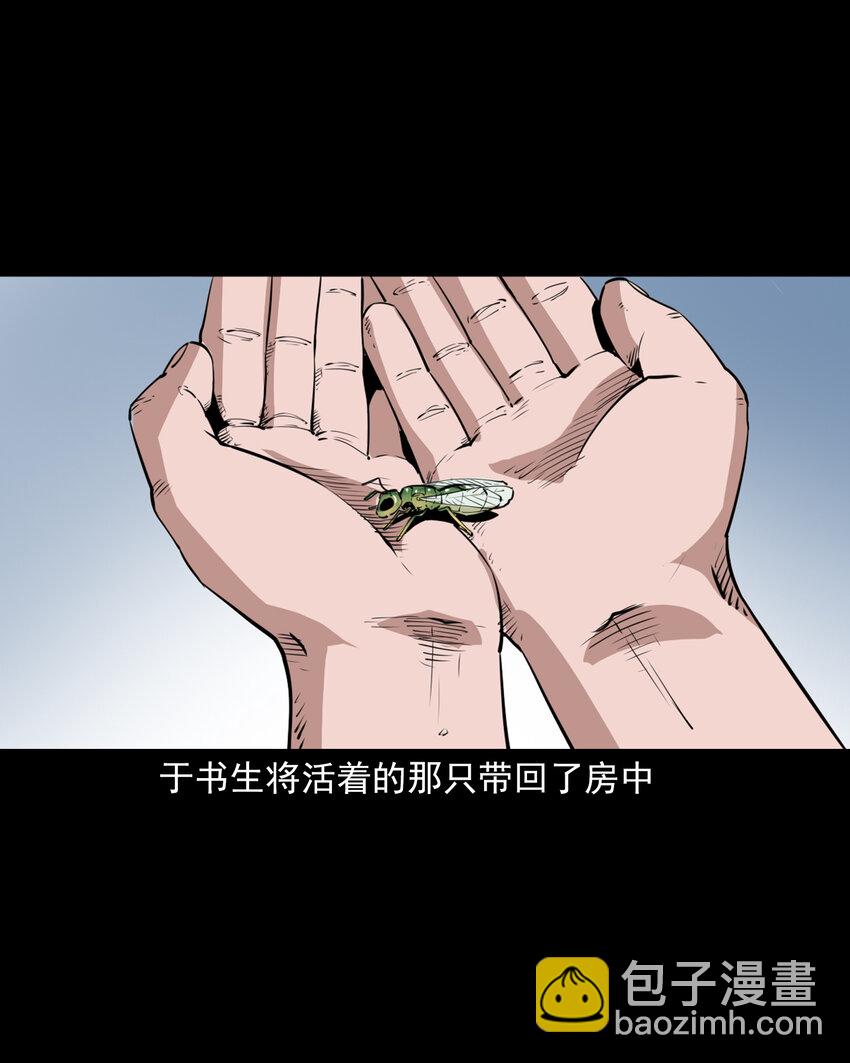 43 第43话绿衣仙子-第43话