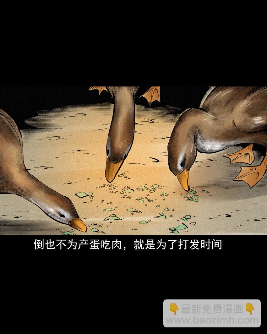 51 第51话小偷变鸭子-第51话