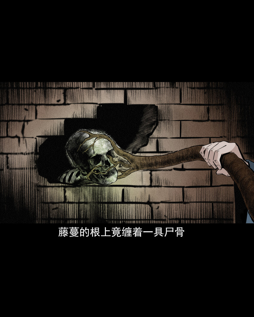 61 第61话美人头-第61话
