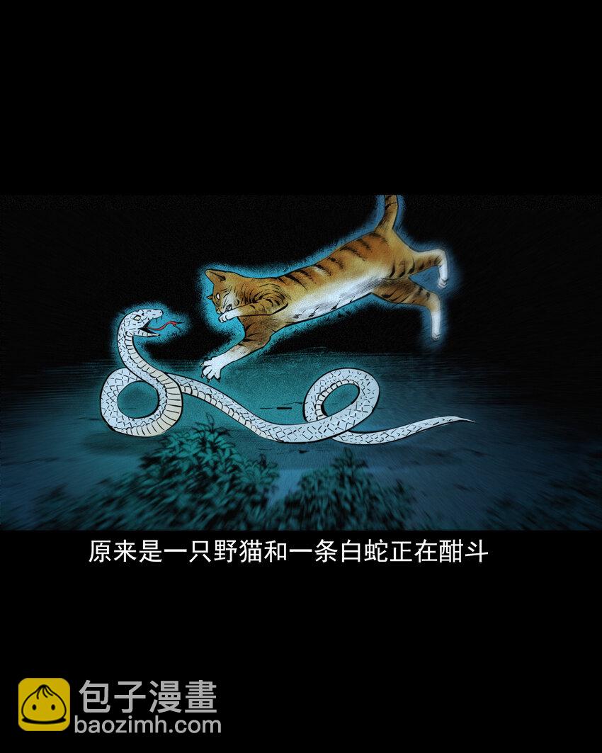 71 第71话蛇妻-第71话