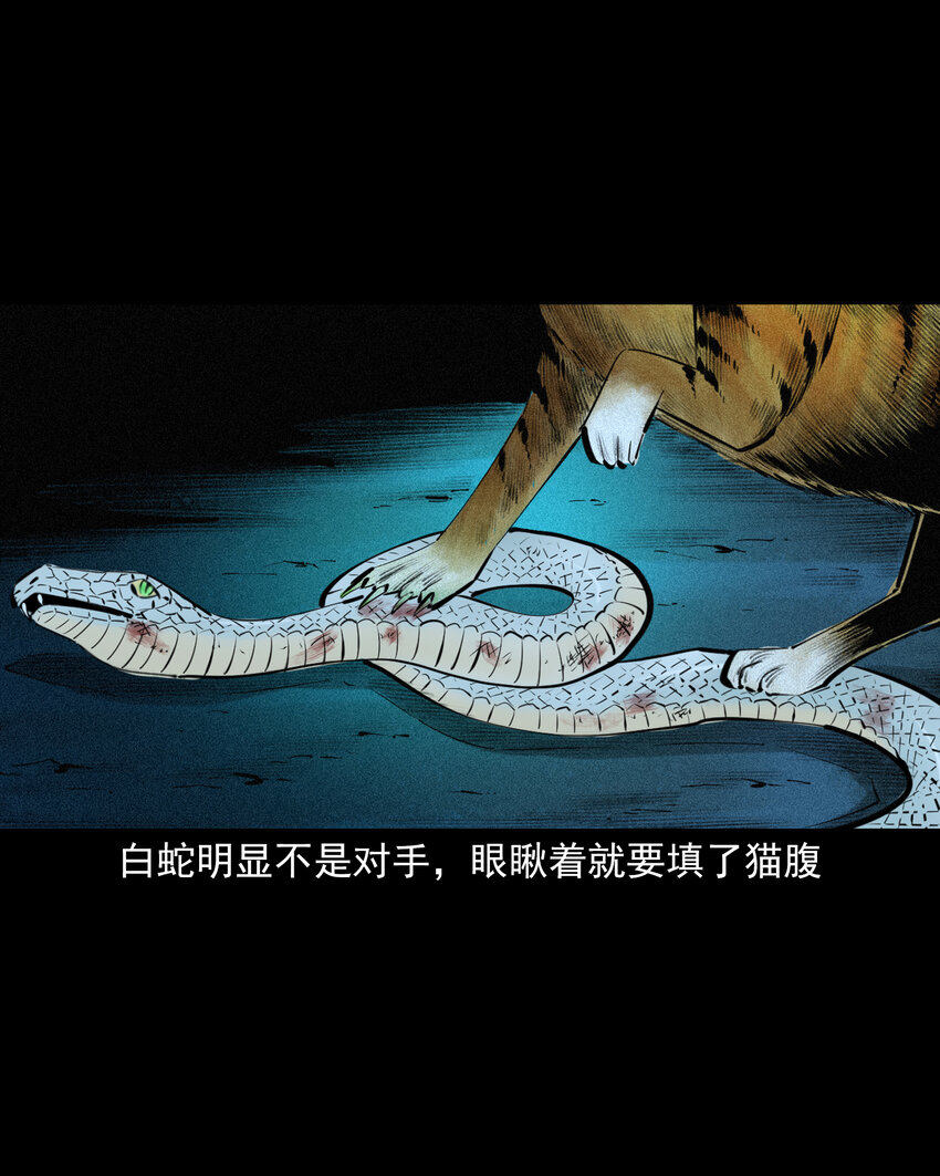 71 第71话蛇妻-第71话