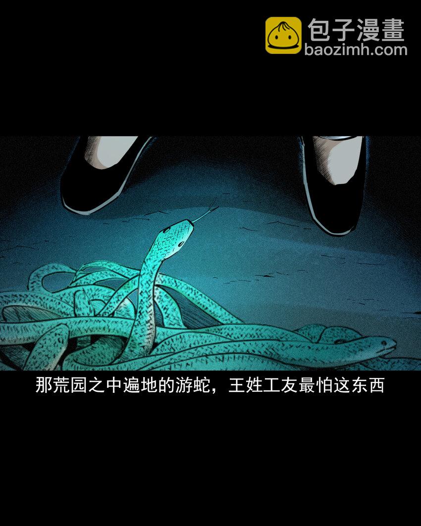 71 第71话蛇妻-第71话