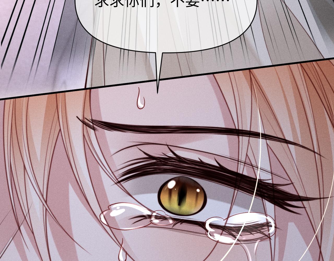 第65话(1/3)-第81话