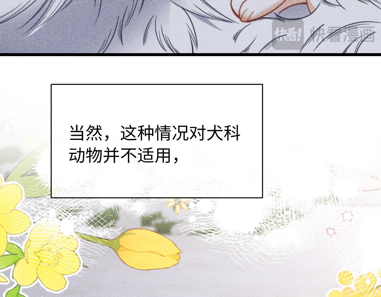 调休小剧场十四-第99话