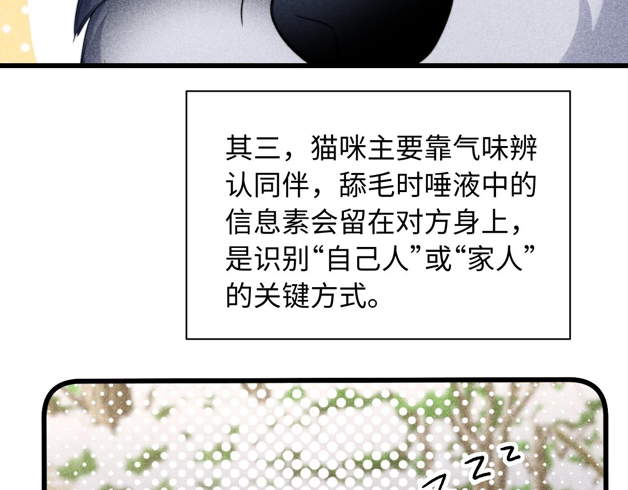 调休小剧场十四-第99话
