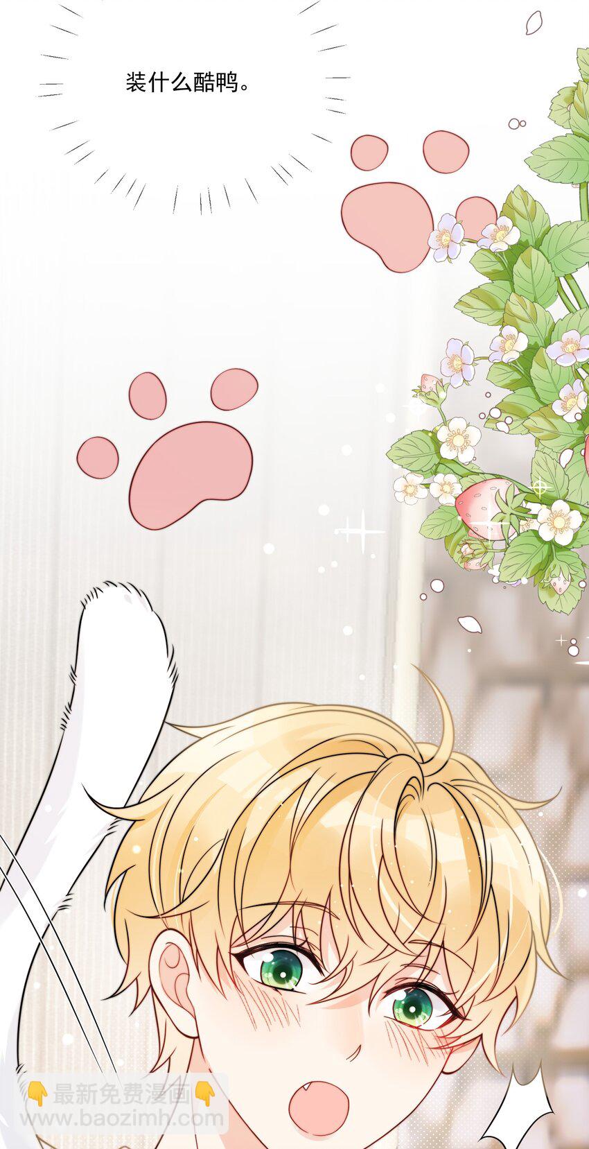第6话 你要的小猫咪-第7话